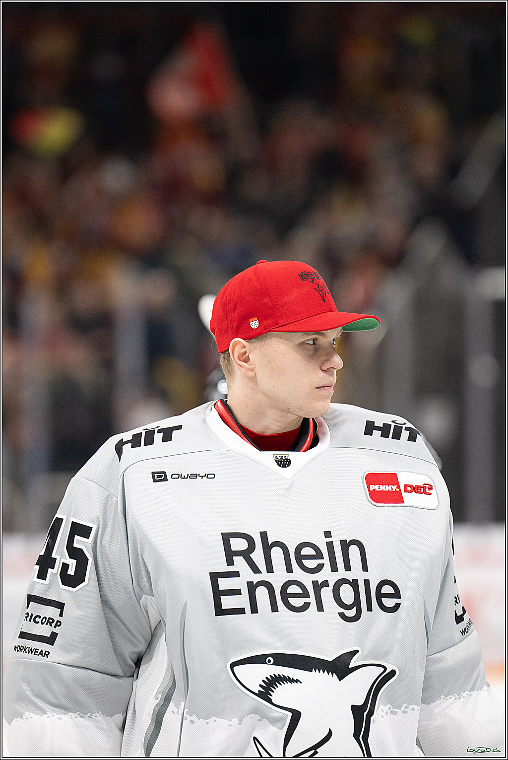 PENNY DEL; Duesseldorfer EG- Koelner Haie; Duesseldorf, 24.01.2025
